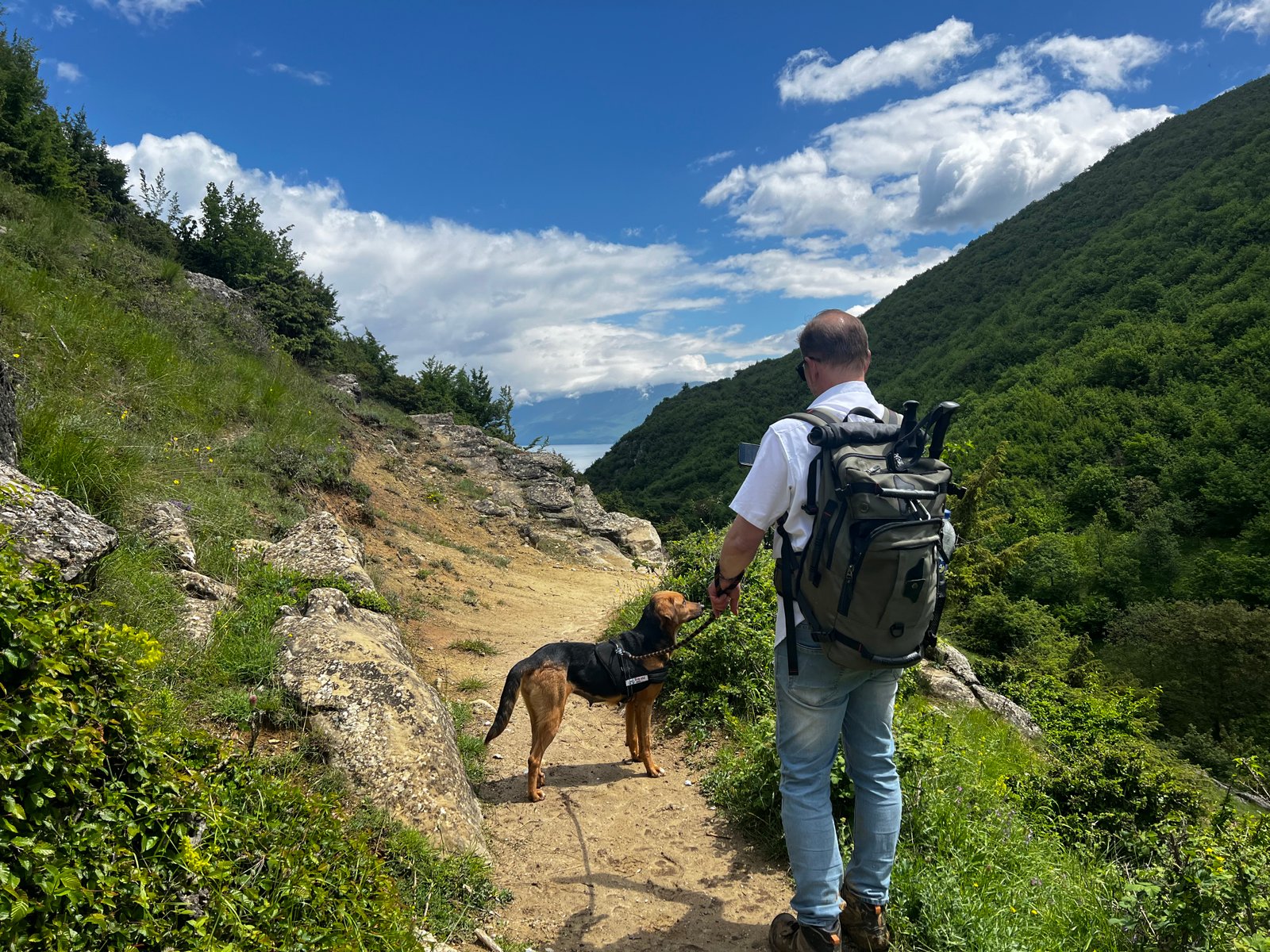 Person walking their dog on a trail in Albania